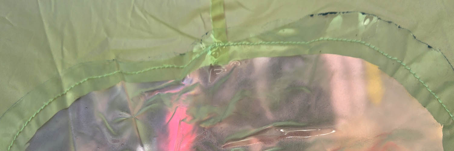 The View from Inside an Inflatable Frog