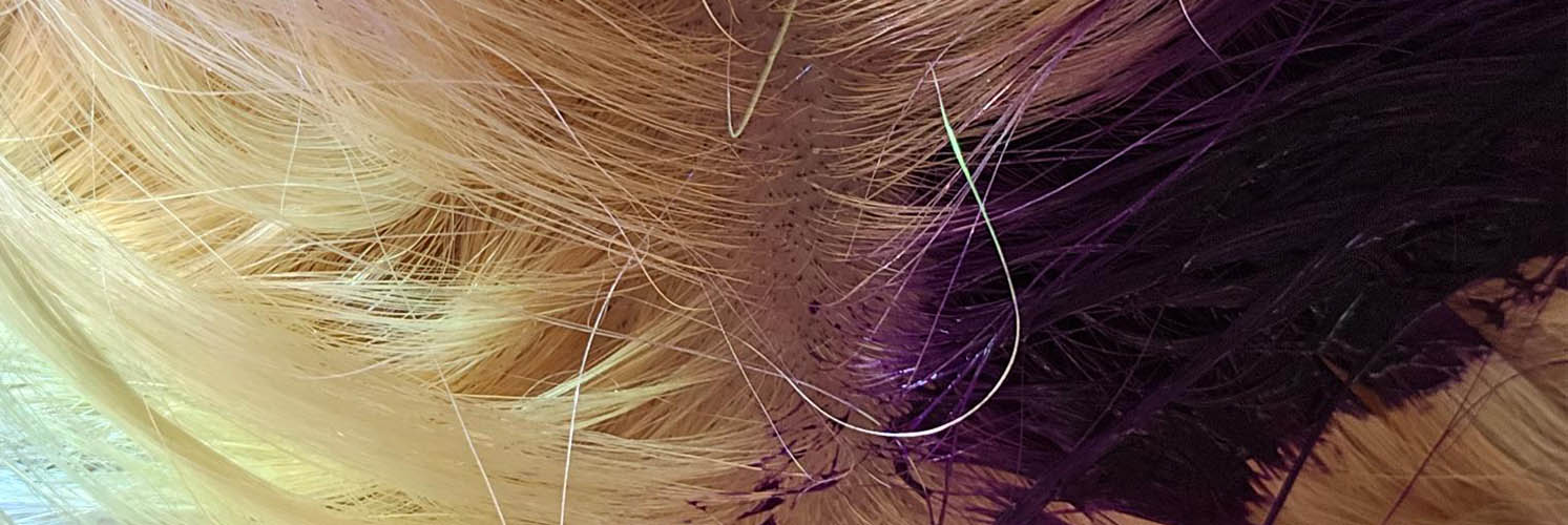 Gray Hair