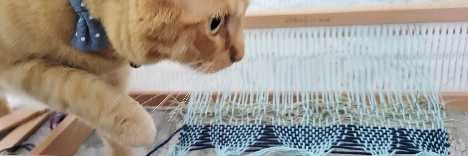 Weaving Spanish Moss